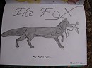 Tod