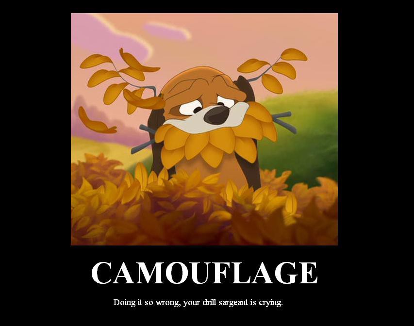 Camouflage Fail