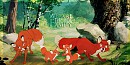 Rox, Vixy et leurs petits