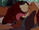 Time to wake up Tod