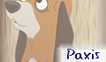 Paxis