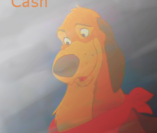 Cash Avvie