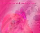 For Wild Wind!