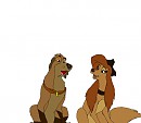 Patrick X Dixie