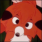 Derp