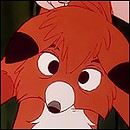 Derp