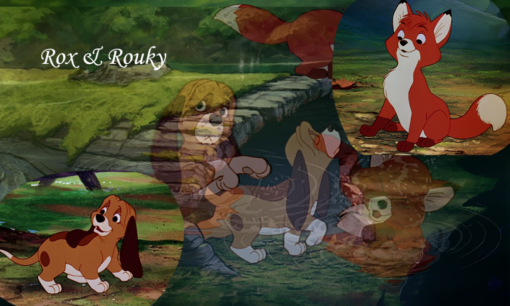 Rox & Rouky 