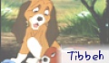 Tibbeh