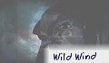 Wild Wind