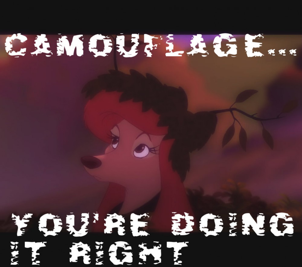Camouflage......