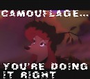 Camouflage......