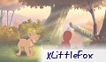 xLittleFox