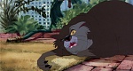 The Secret of NIMH picture