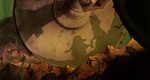 The Secret of NIMH picture