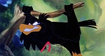 The Secret of NIMH picture