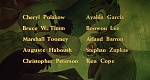 The Secret of NIMH picture