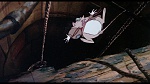 Image Brisby et le secret de NIMH