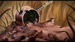 Image Brisby et le secret de NIMH