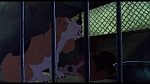 Image Brisby et le secret de NIMH