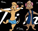 Tim des 2 collab'