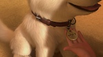 Volt Star Malgré Lui picture