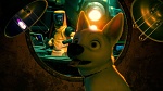 Volt Star Malgré Lui picture