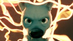 Volt Star Malgré Lui picture