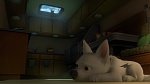 Volt Star Malgré Lui picture