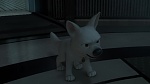 Volt Star Malgré Lui picture