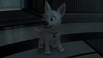 Volt Star Malgré Lui picture