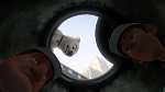 Volt Star Malgré Lui picture