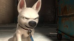Volt Star Malgré Lui picture