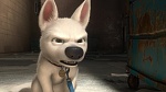 Volt Star Malgré Lui picture