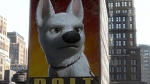 Volt Star Malgré Lui picture