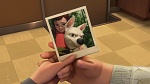 Volt Star Malgré Lui picture