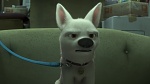 Volt Star Malgré Lui picture