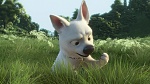 Volt Star Malgré Lui picture