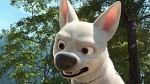 Volt Star Malgré Lui picture