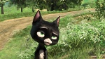 Volt Star Malgré Lui picture