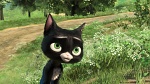 Volt Star Malgré Lui picture