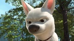Volt Star Malgré Lui picture