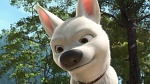 Volt Star Malgré Lui picture
