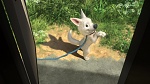 Image Volt Star Malgré Lui