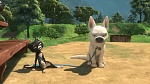 Volt Star Malgré Lui picture