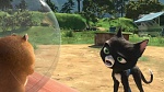 Volt Star Malgré Lui picture