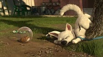 Volt Star Malgré Lui picture
