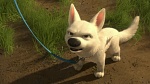 Volt Star Malgré Lui picture