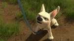 Volt Star Malgré Lui picture