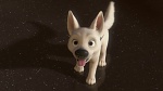 Image Volt Star Malgré Lui