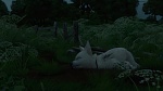 Volt Star Malgré Lui picture